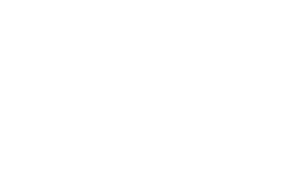 WBI